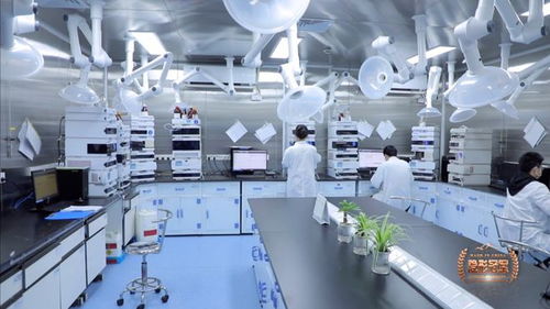 六元環三劍客 二十年死磕分子砌塊，讓中國技術嵌入全球藥脈